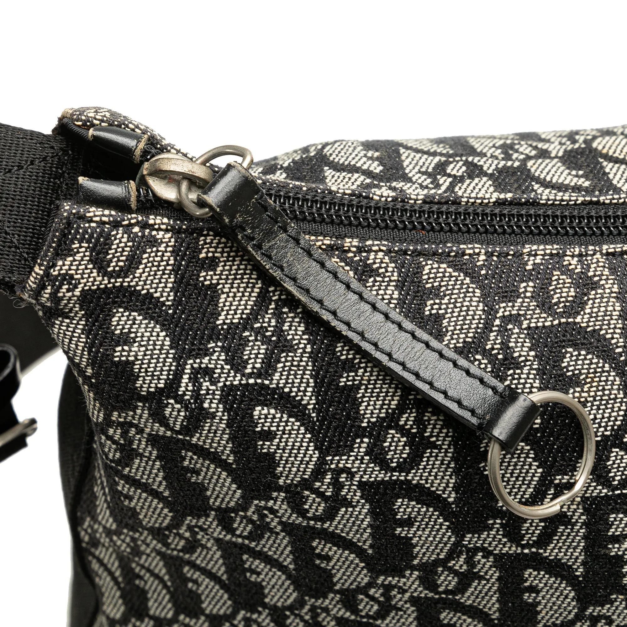 Black Dior Diorissimo Trotter Canvas Crossbody