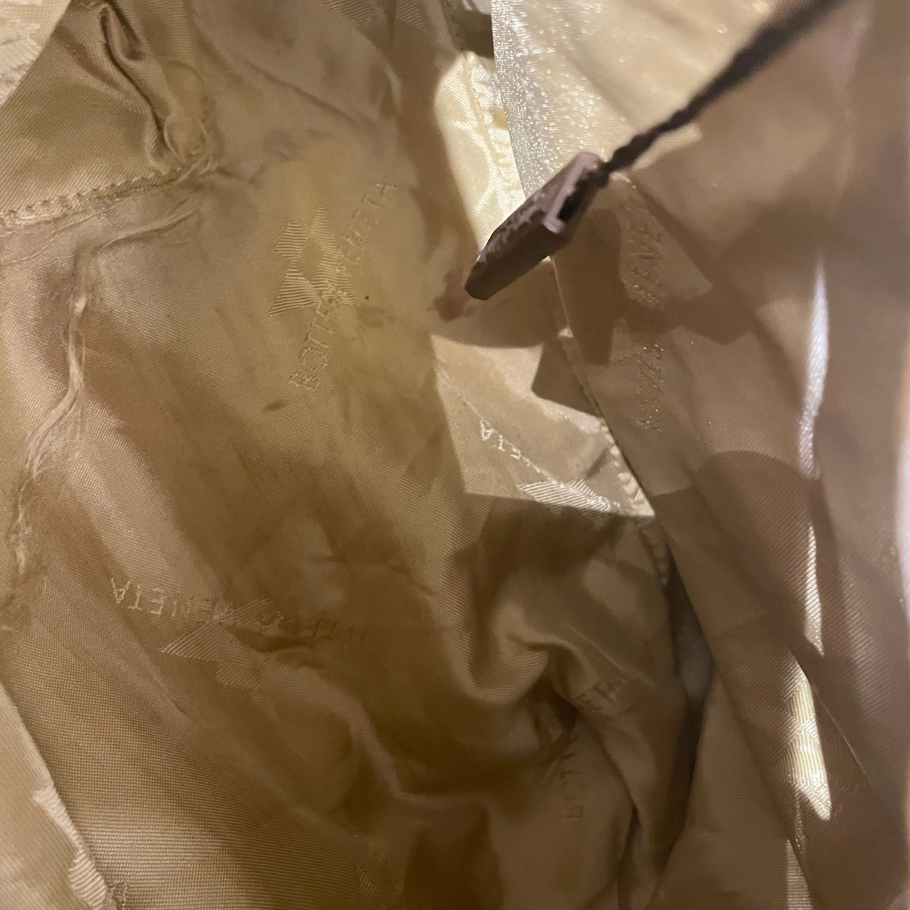 BOTTEGA VENETA/Bag/Animal Pattern/BRW/Leopard Hobo Drawstring
