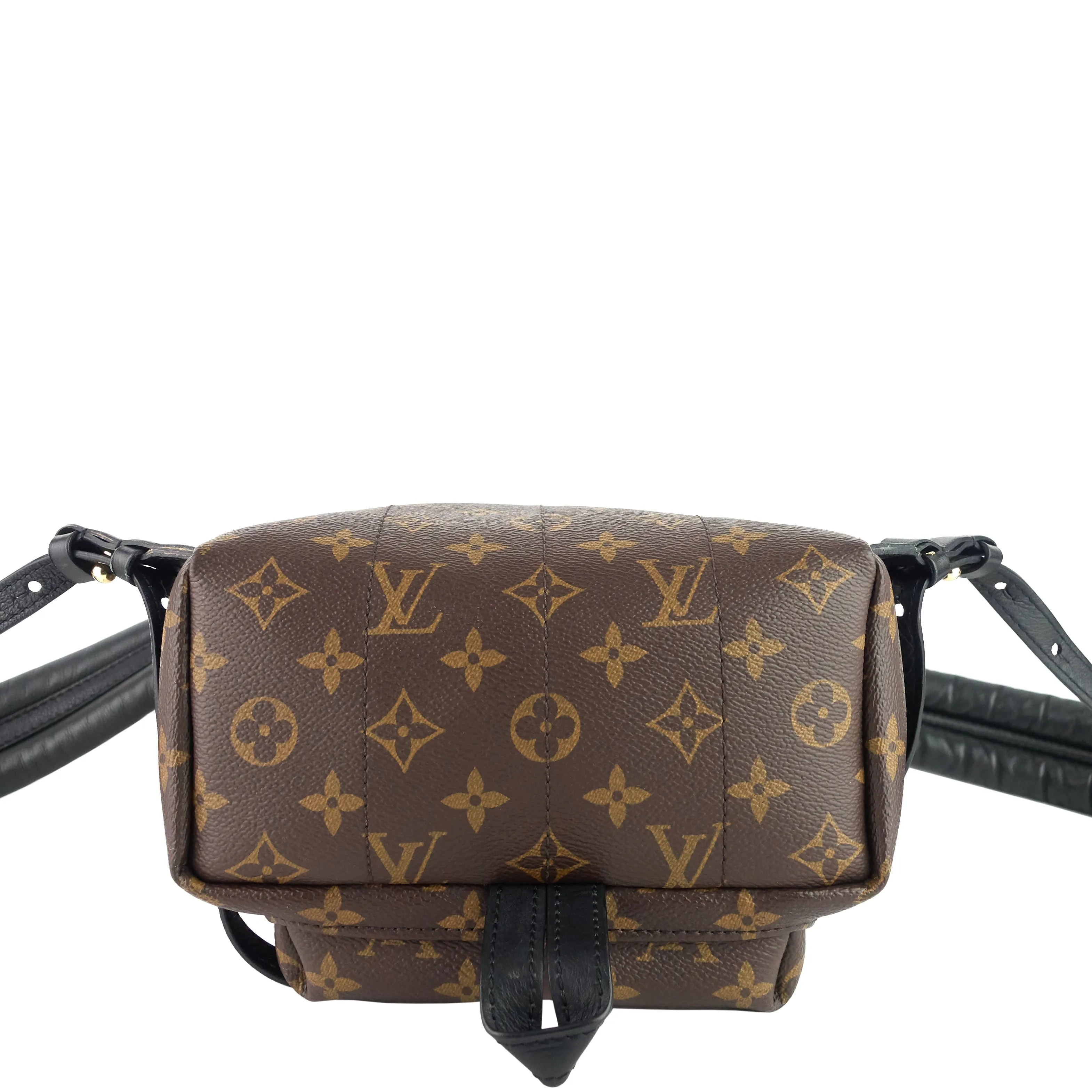 Palm Springs PM NM Monogram Canvas Backpack Bag