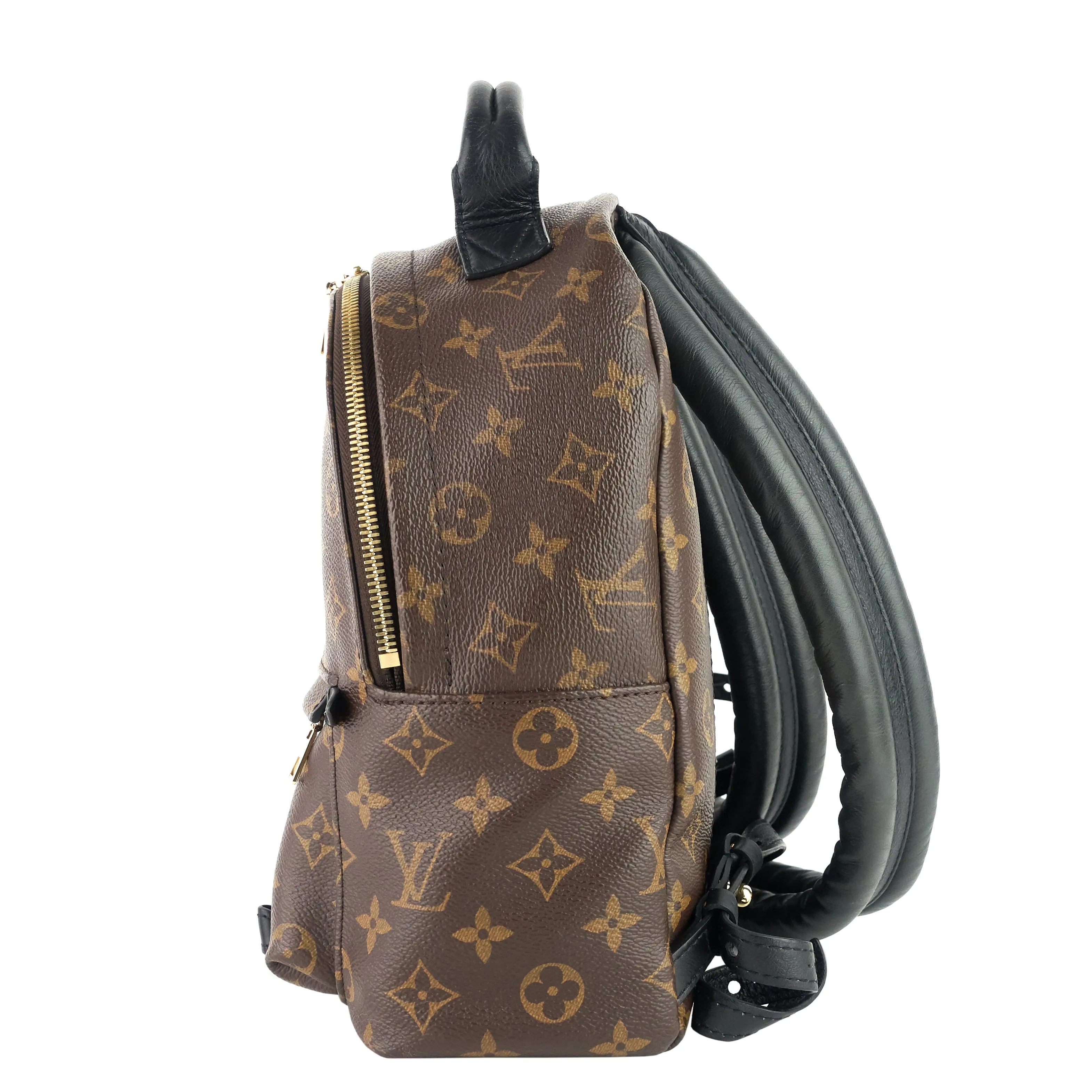 Palm Springs PM NM Monogram Canvas Backpack Bag