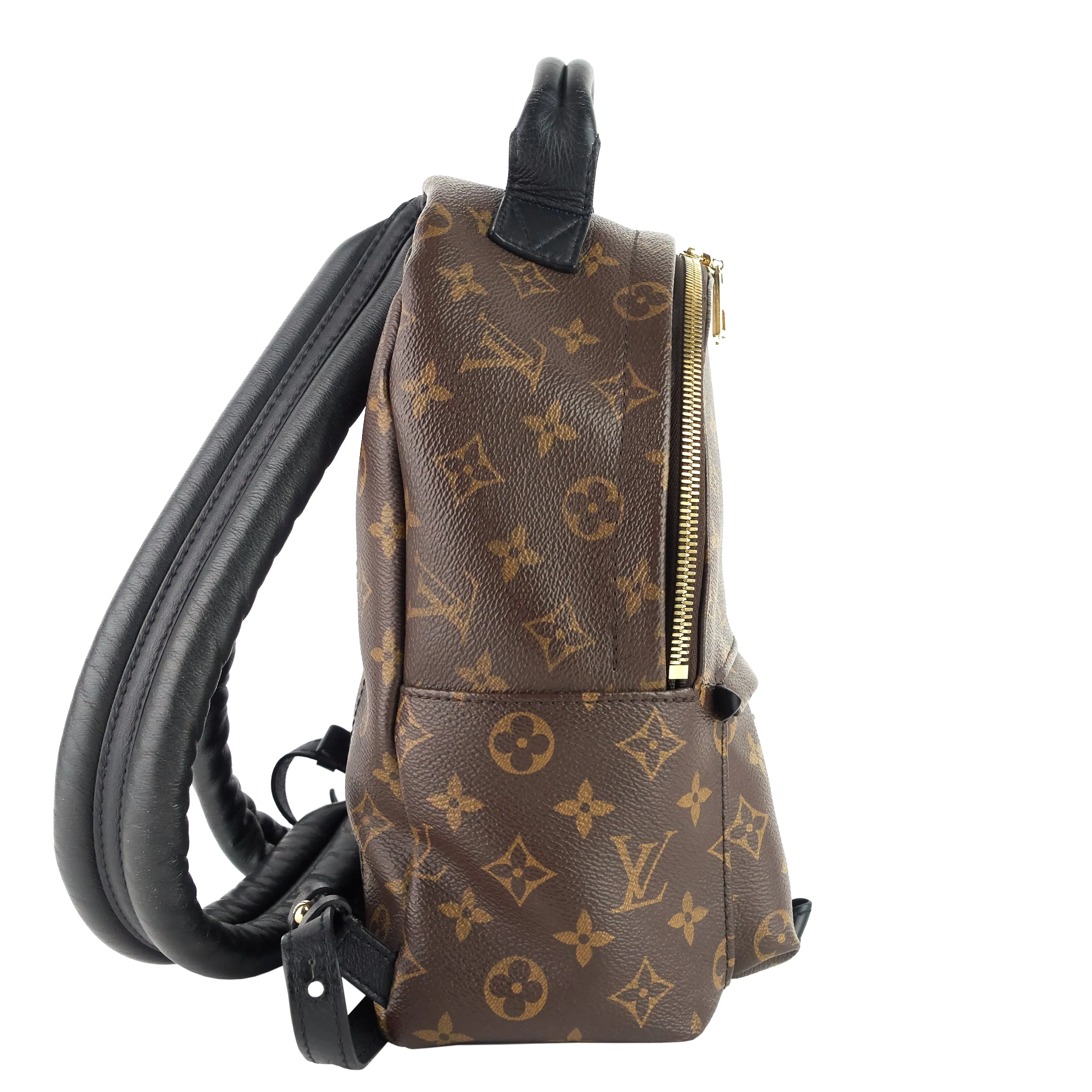 Palm Springs PM NM Monogram Canvas Backpack Bag