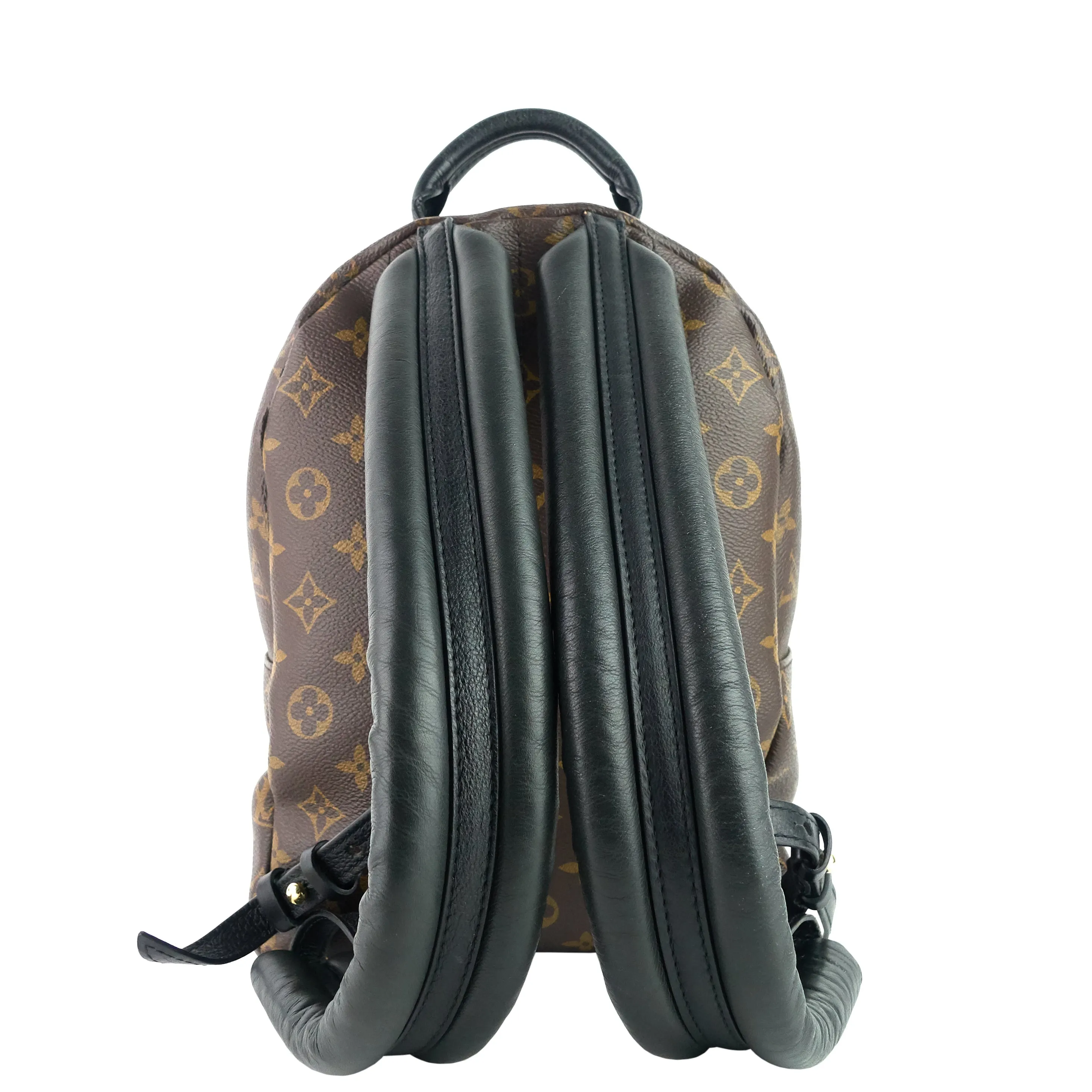 Palm Springs PM NM Monogram Canvas Backpack Bag